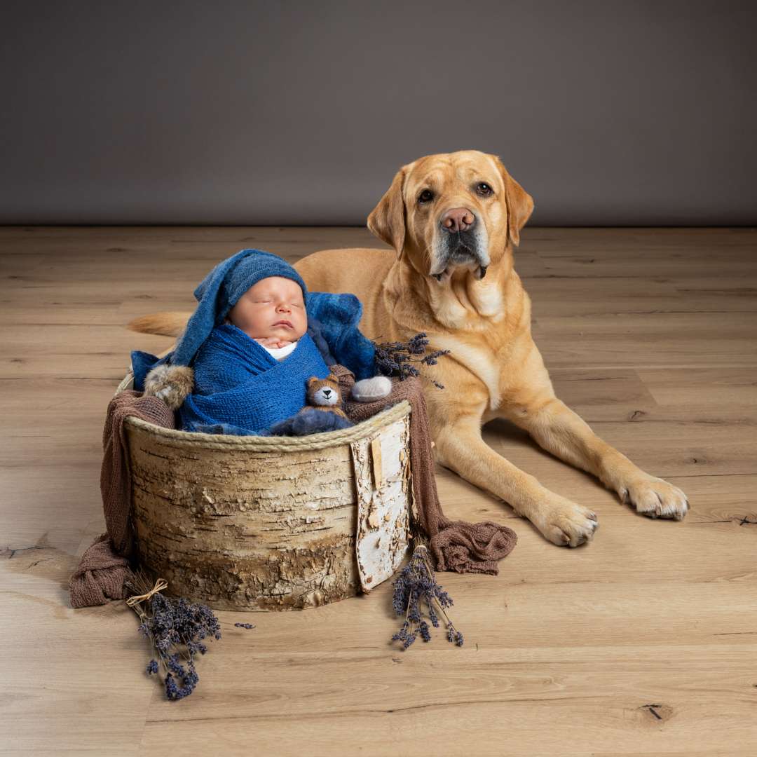 Newbornshooting_Hund