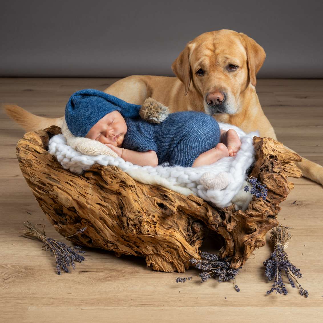 Newbornshooting_Holz_Hund